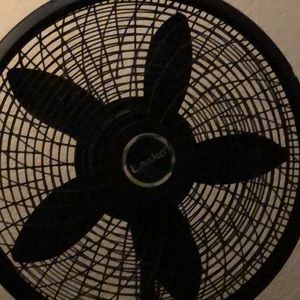 Fan